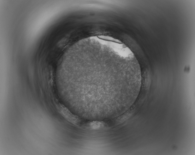 X0000110890762200907301542