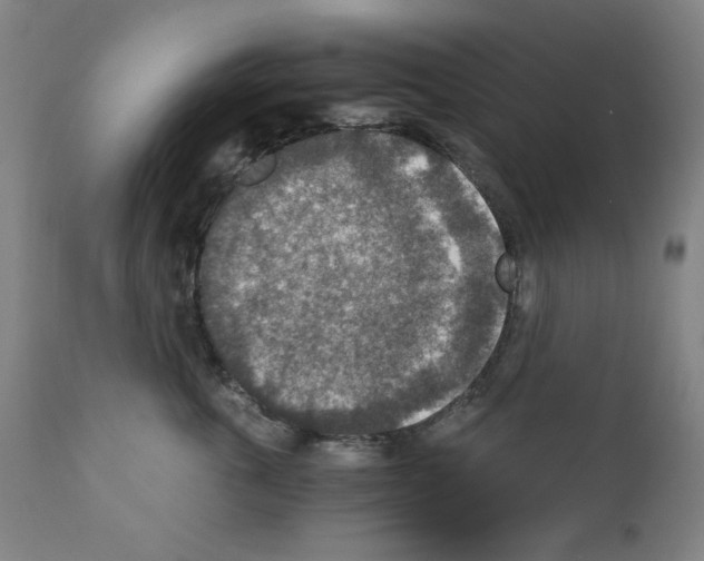 X0000110890763200907301542