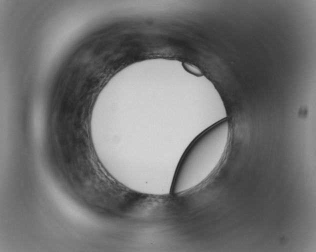 X0000110890764200907301542