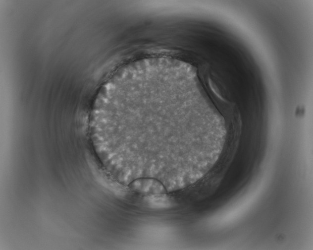 X0000110890767200907301542