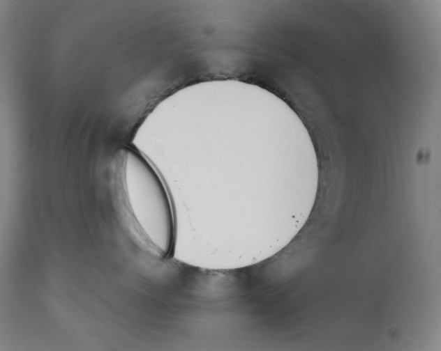 X0000110890768200907301542
