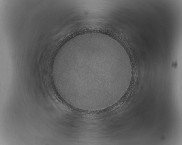 X0000110890769200907301541