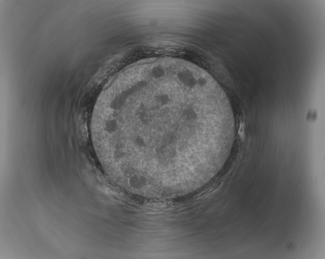 X0000110890771200907301541
