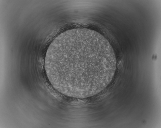 X0000110890772200907301541