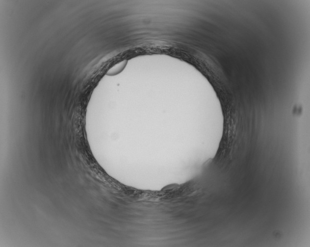X0000110890773200907301541