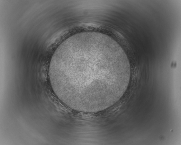 X0000110890774200907301541