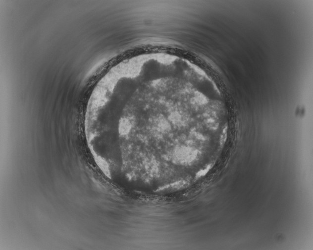 X0000110890775200907301541
