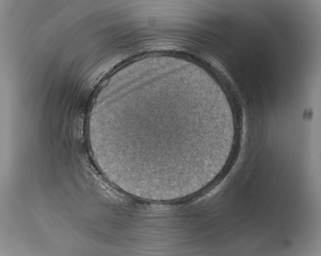 X0000110890777200907301541