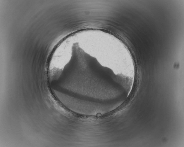 X0000110890779200907301541