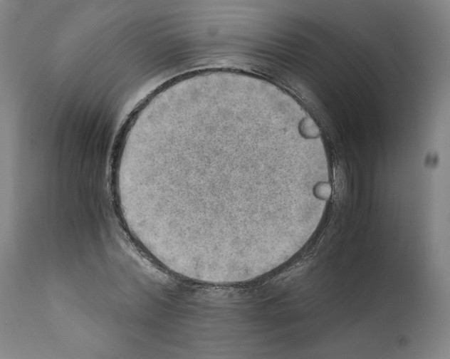 X0000110890780200907301541