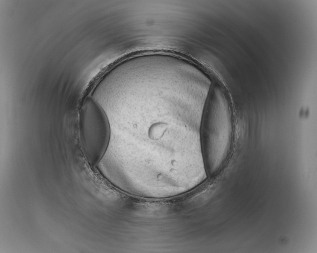 X0000110890781200907301541
