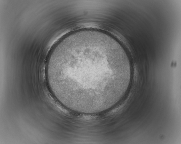 X0000110890782200907301541
