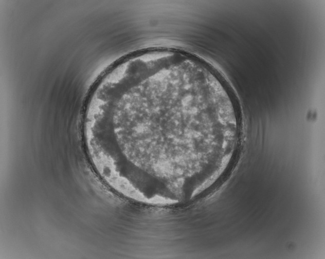 X0000110890783200907301541