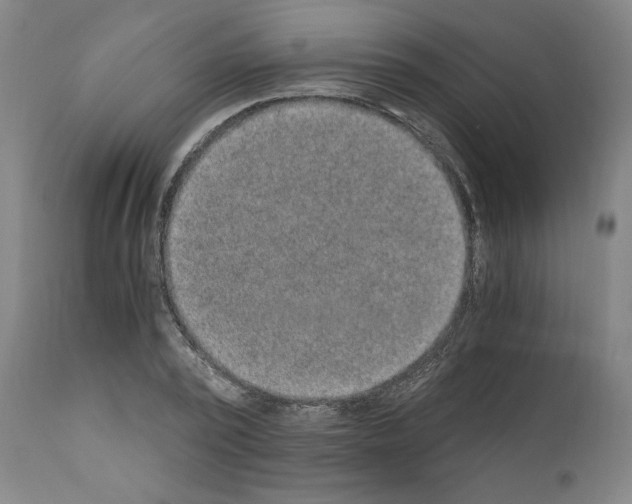 X0000110890784200907301541