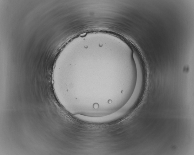 X0000110890785200907301541
