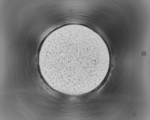 X0000110890787200907301541