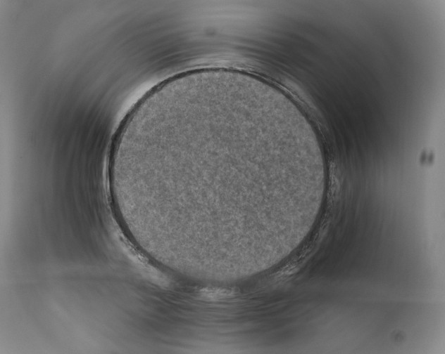 X0000110890788200907301541