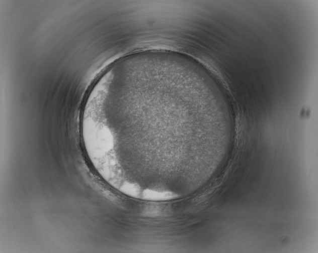 X0000110890790200907301541