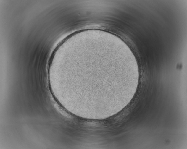 X0000110890792200907301541