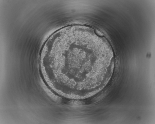 X0000110890795200907301541