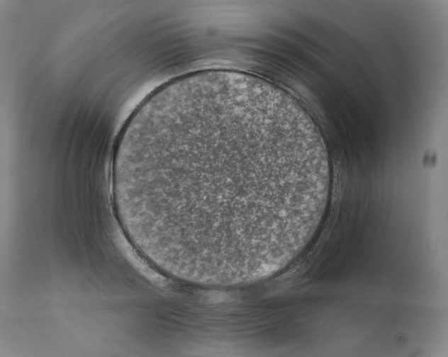X0000110890796200907301541