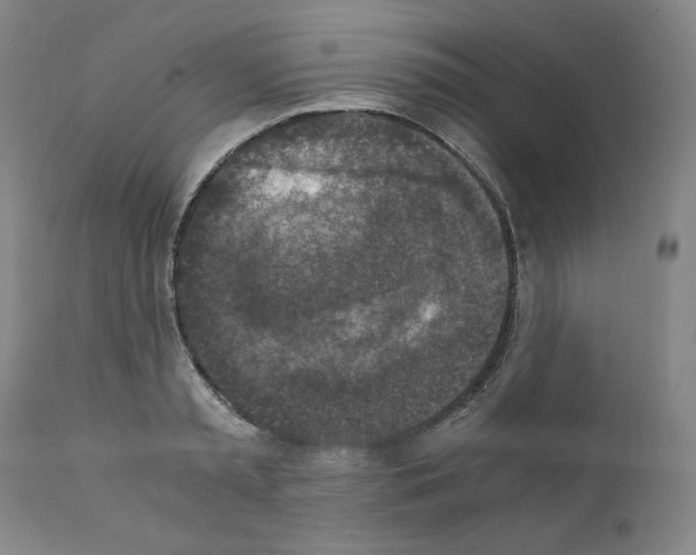 X0000110890797200907301541
