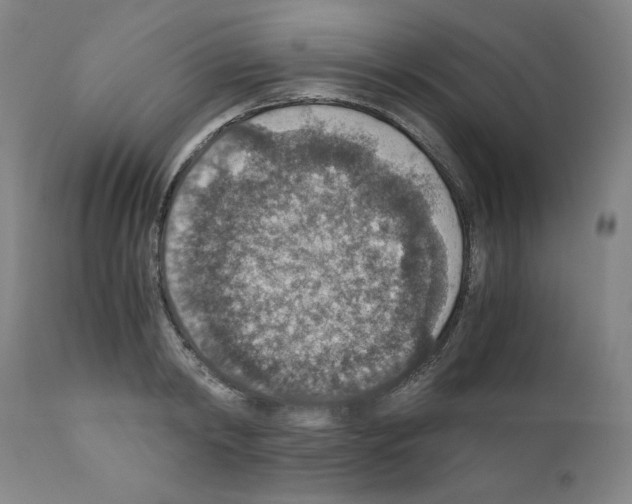 X0000110890798200907301541