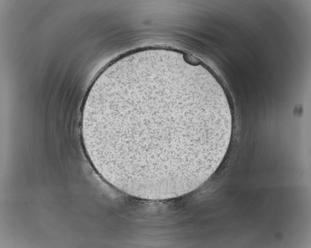 X0000110890799200907301541