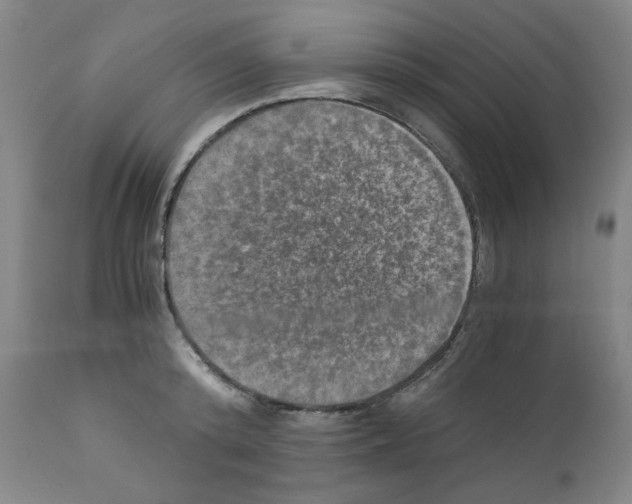 X0000110890800200907301541
