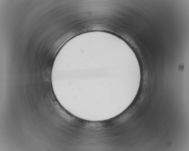X0000110890801200907301541
