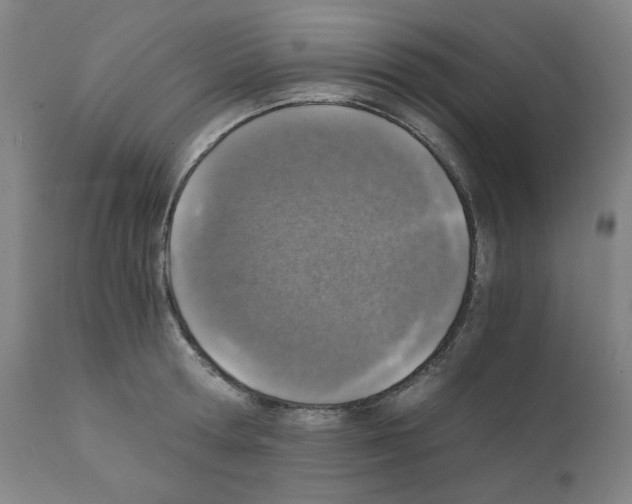 X0000110890802200907301541
