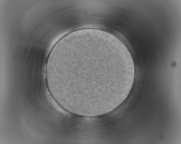 X0000110890804200907301541