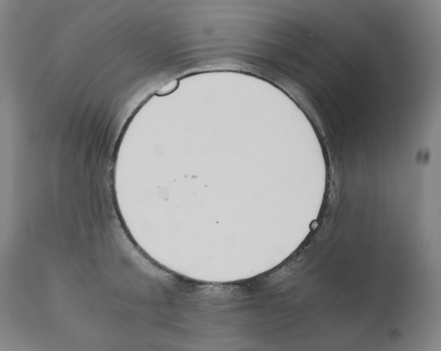 X0000110890805200907301541