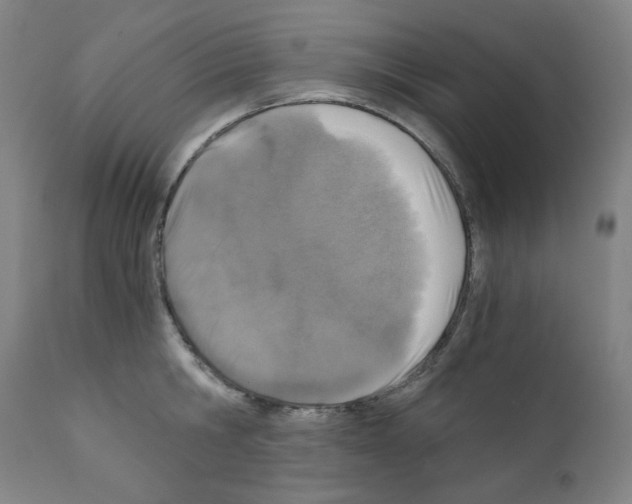 X0000110890806200907301541