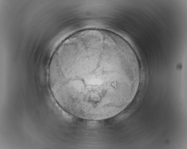 X0000110890807200907301541