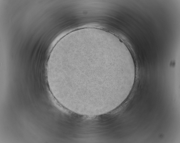 X0000110890808200907301541