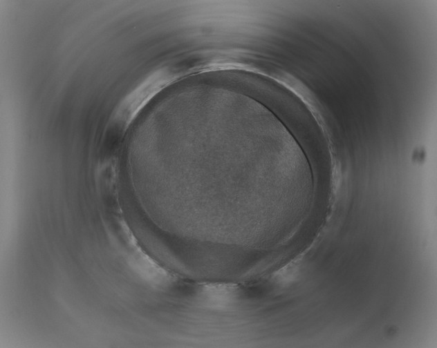 X0000110890809200907301541