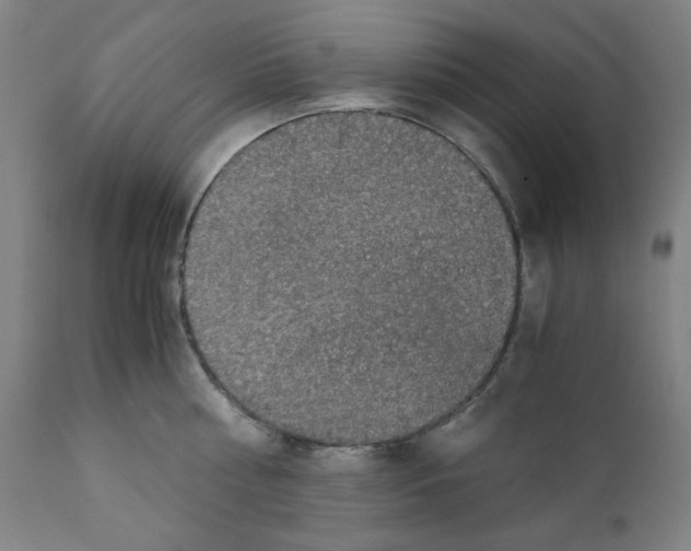 X0000110890810200907301541