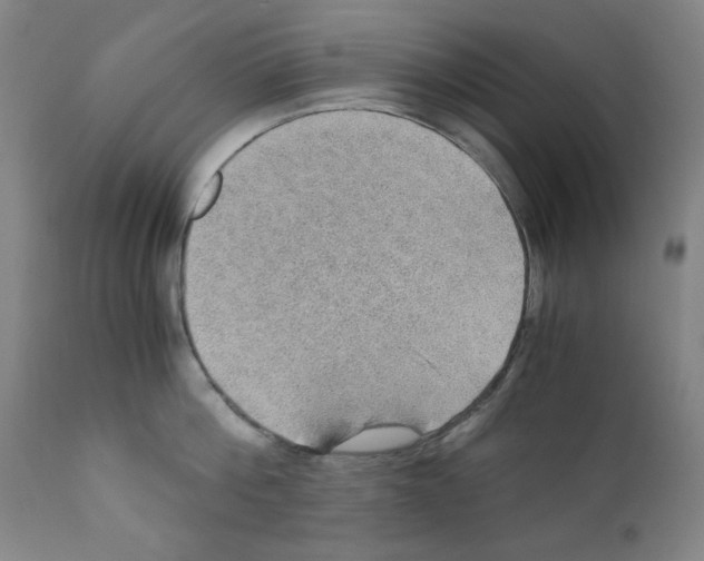 X0000110890812200907301541