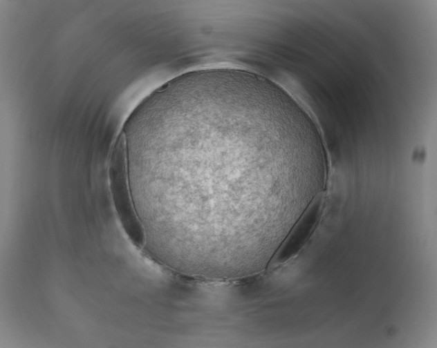 X0000110890813200907301541