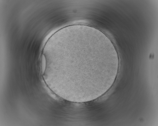X0000110890816200907301541