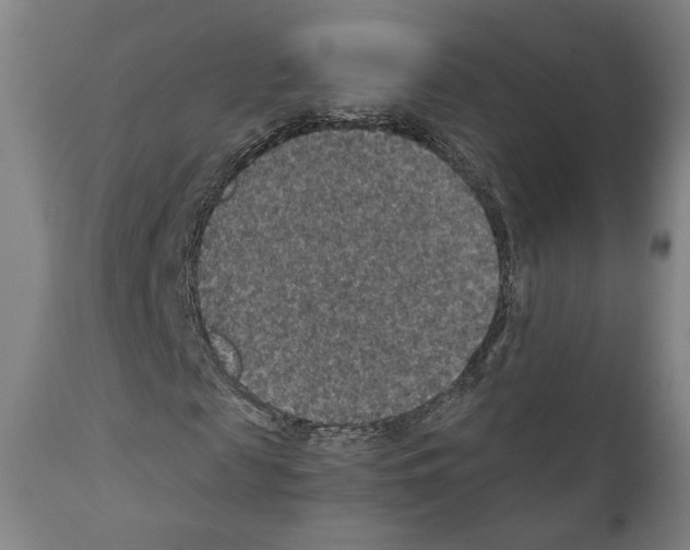X0000110890817200907301540