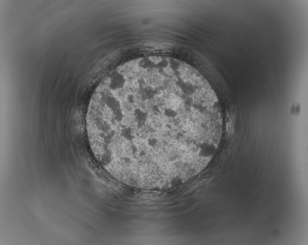 X0000110890819200907301540
