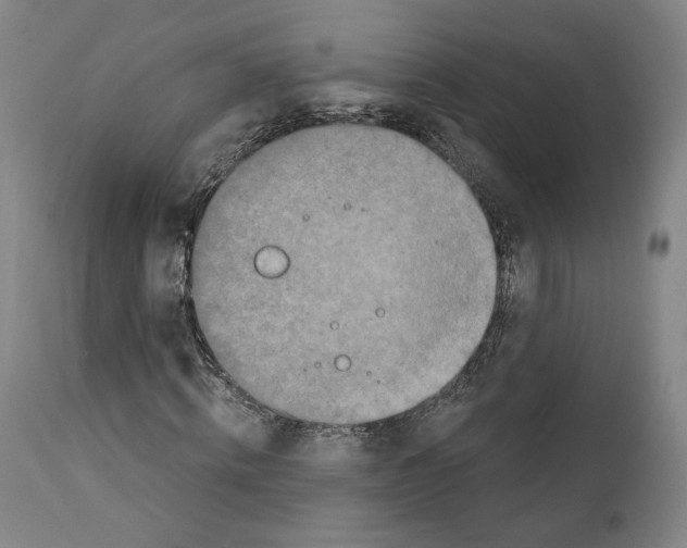 X0000110890820200907301540
