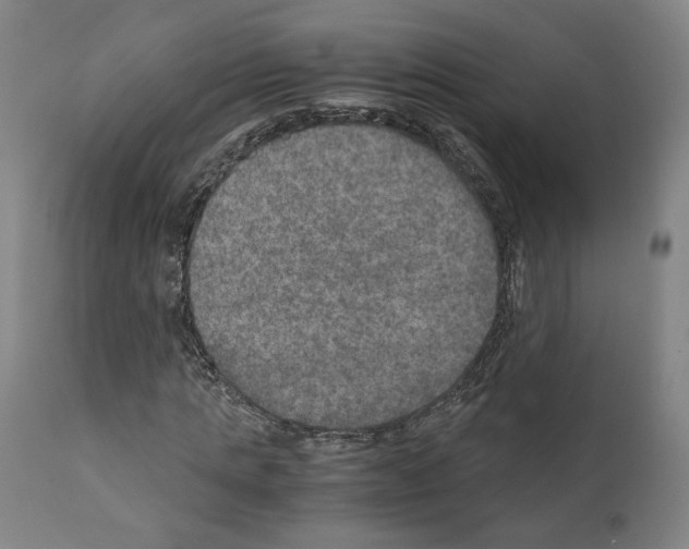 X0000110890821200907301540