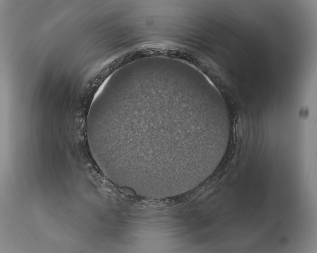 X0000110890822200907301540