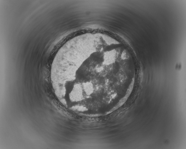 X0000110890823200907301540