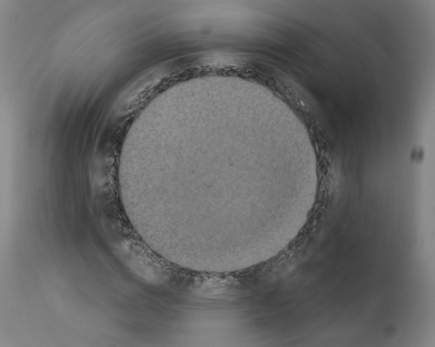 X0000110890824200907301540