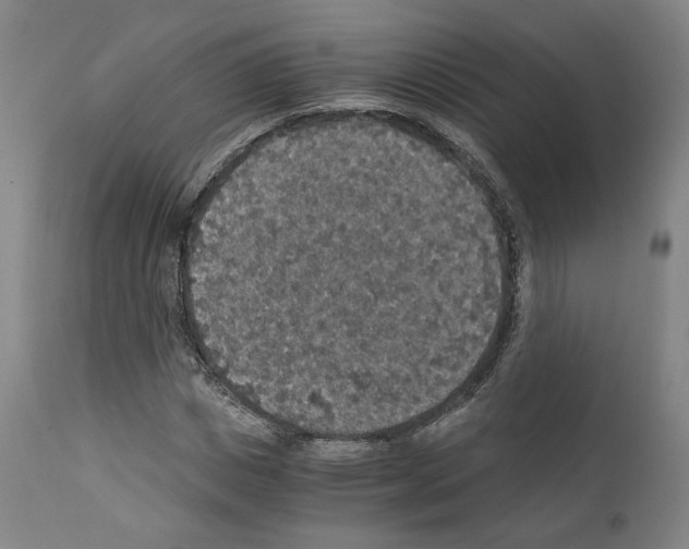 X0000110890825200907301540
