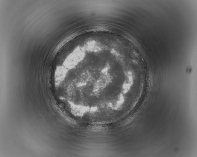 X0000110890826200907301540